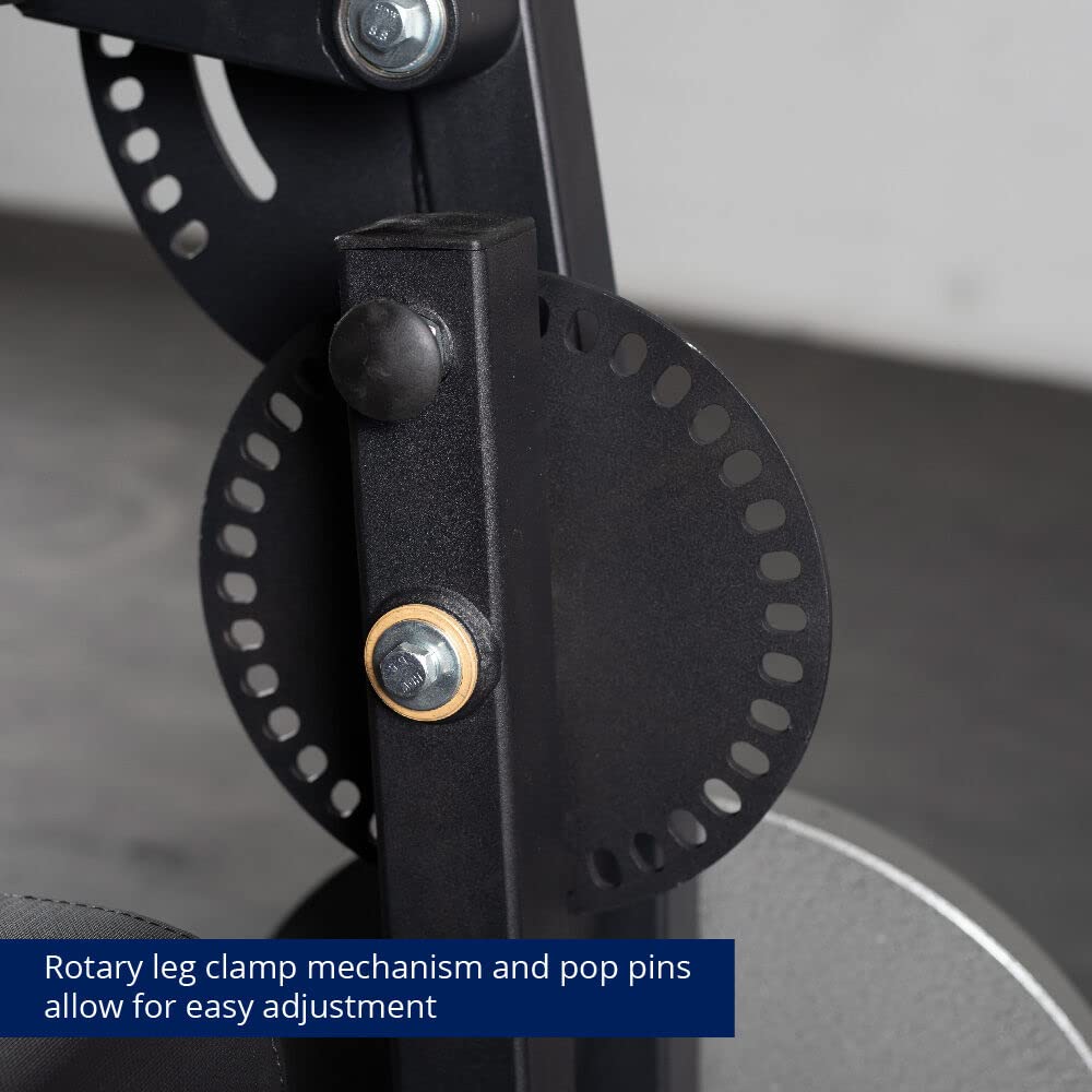 Buy Titan Fitness Adjustable Plate Loaded Leg Extension and Curl Machine, Rated 300 LB, Rotary