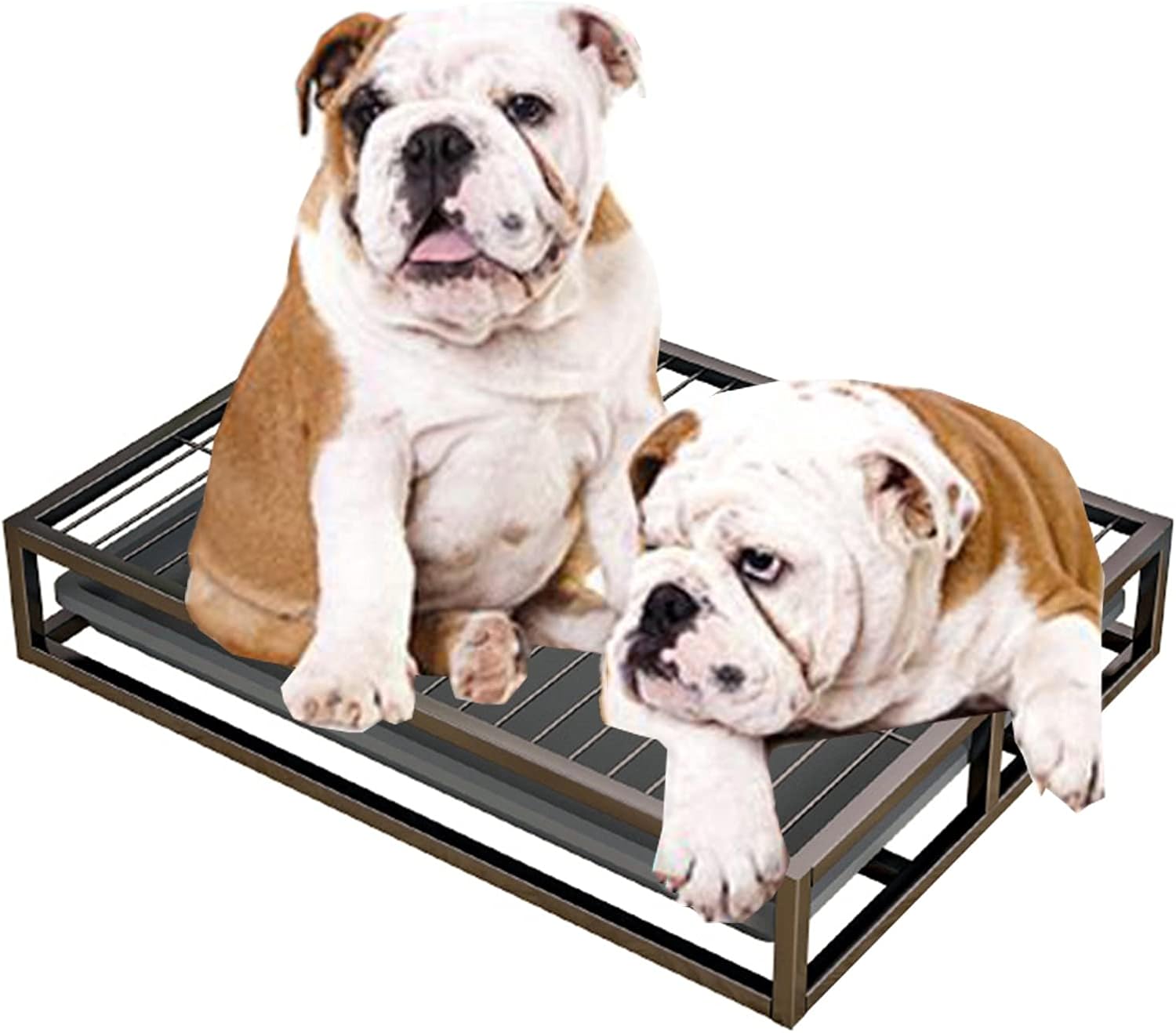 Buy Junorstar Extra Large Dog Potty Indoor Outdoor, Heavy Duty