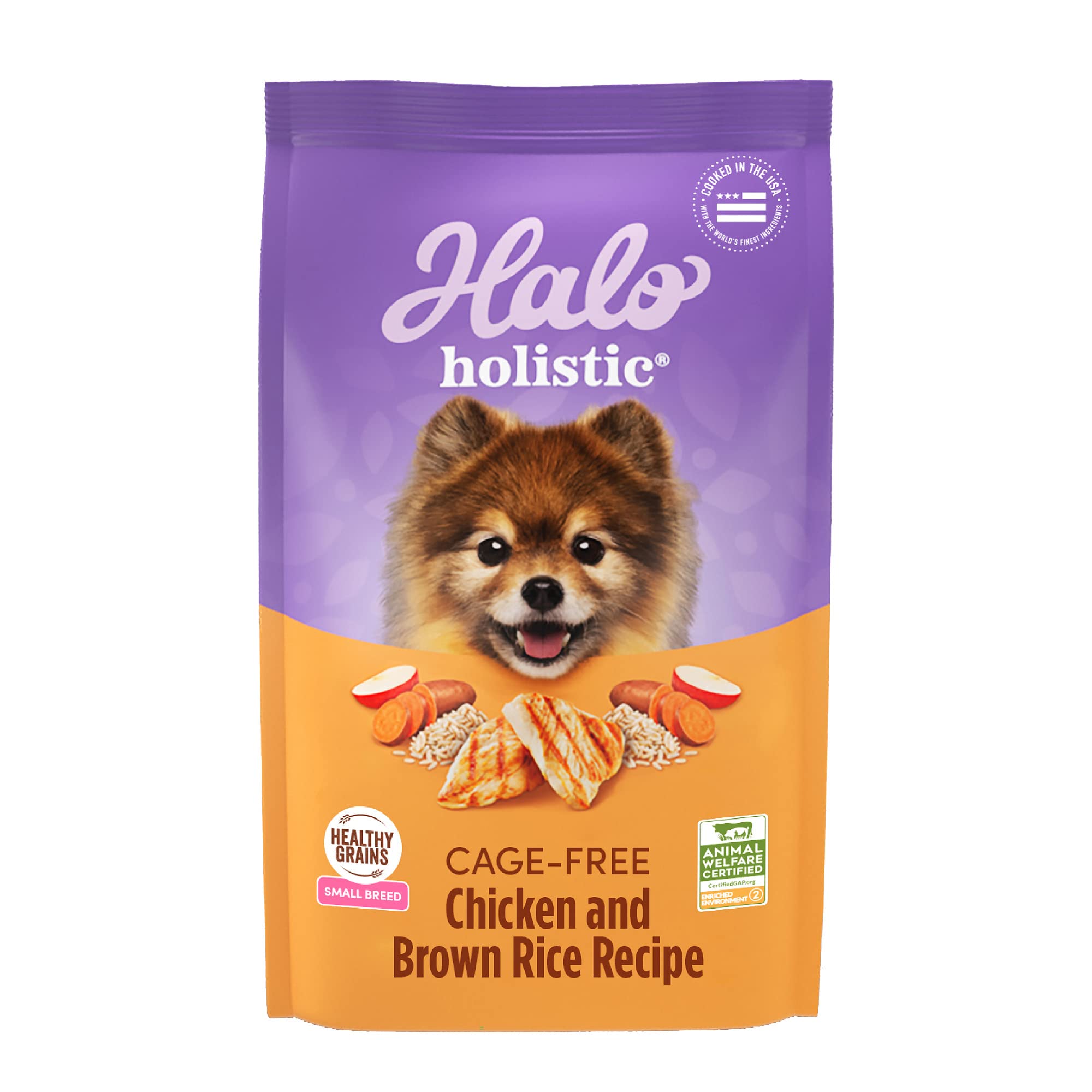 Healthy holistic dog food best sale
