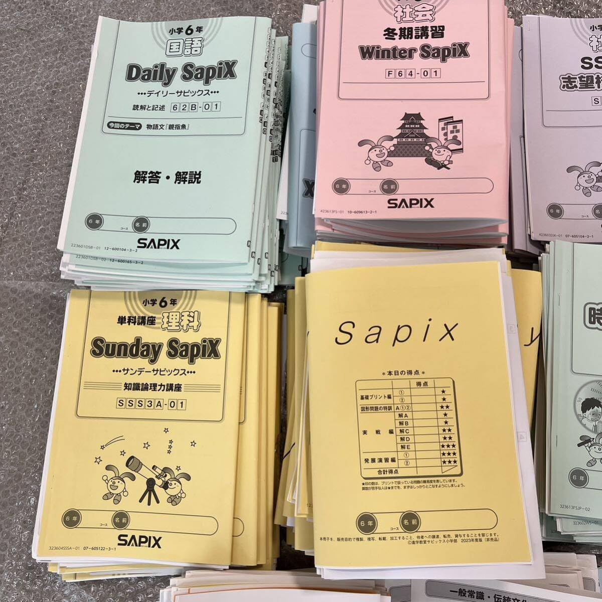 SapiX 国語教材 6年生 Summer & Weekly 【公式通販】