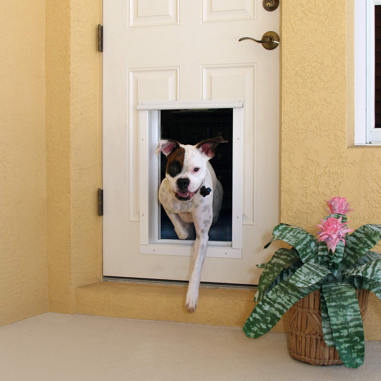 Top rfid dog door Flash Sales