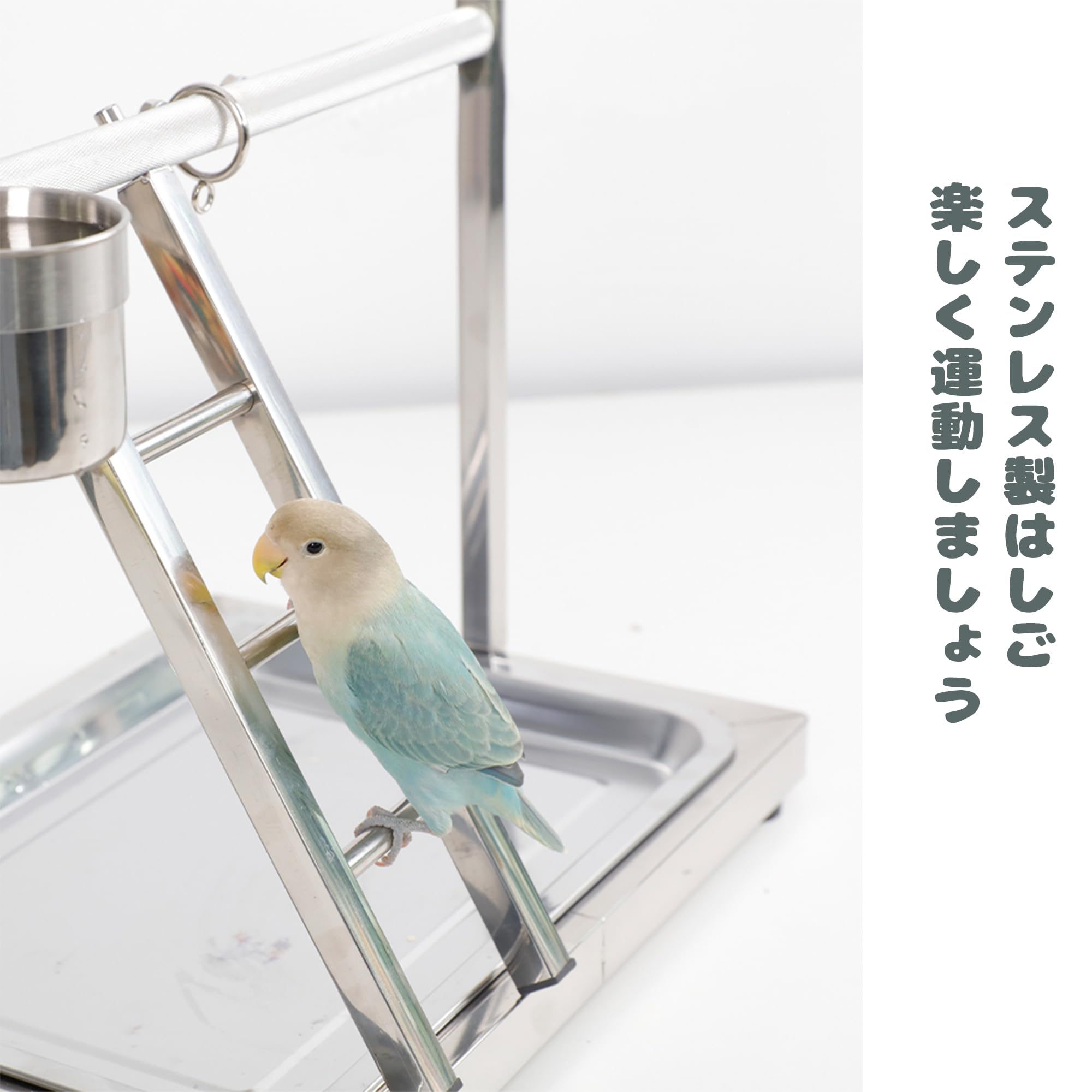 オーダー最終確認用160−No9タイプインコアスレチックジムツリー 茹でる