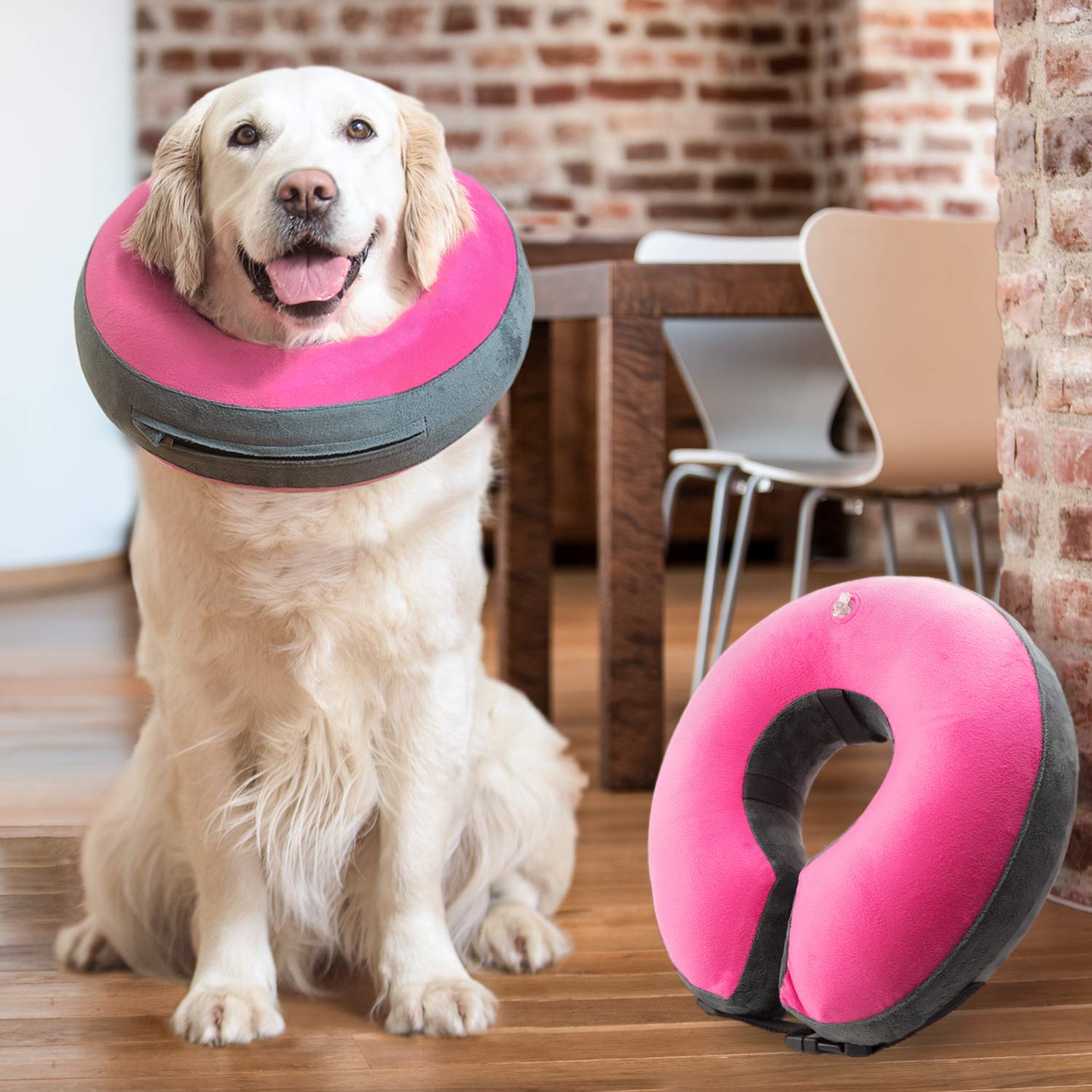 Cone Alternative Diy Cone For Dogs Head Homemade Dog Cone For