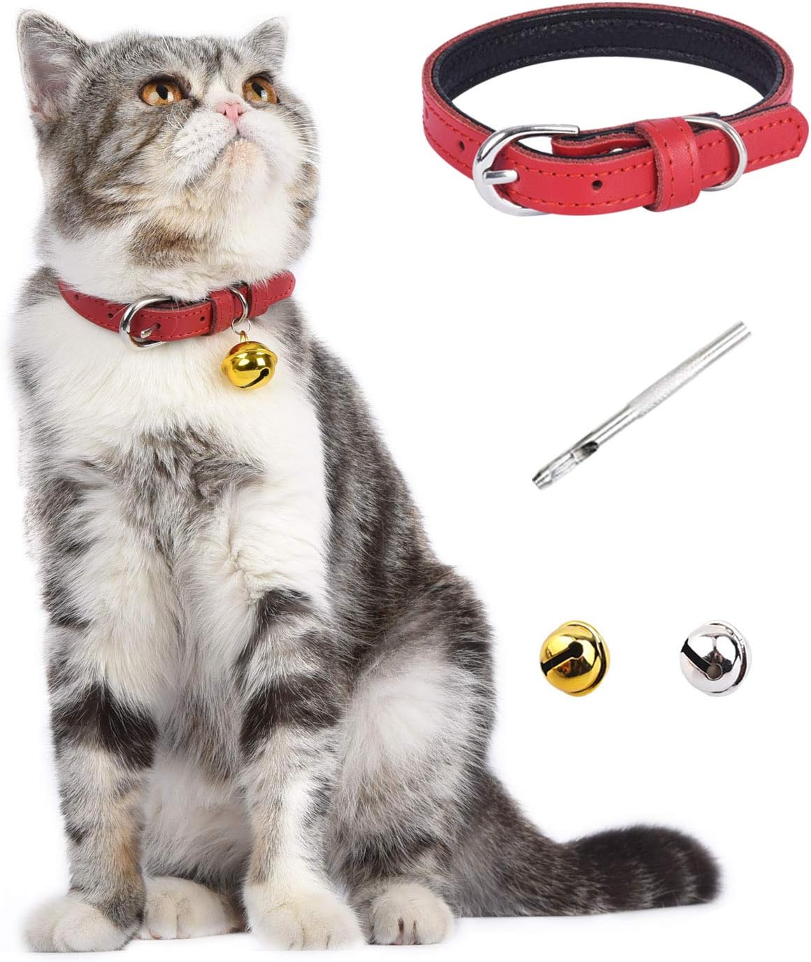 37 割引上等な 送料無料 犬猫用 首輪 鈴付き 可愛い ブラック Xsサイズ 犬用品 ペット用品 Breakwaterstudios Com