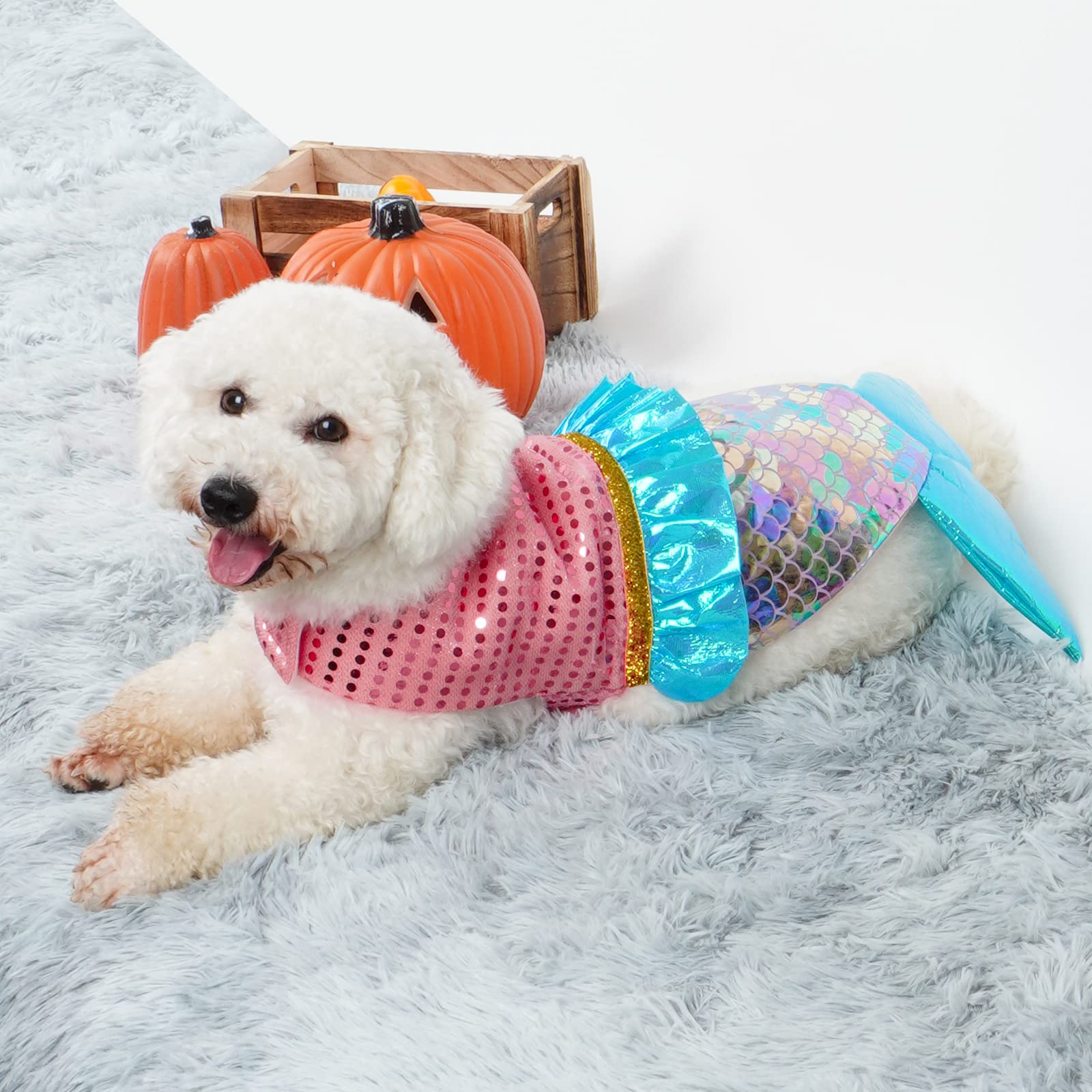 Petsmart Dog Apparel Catalog Petsmart Dog Apparel PetSmart Dog