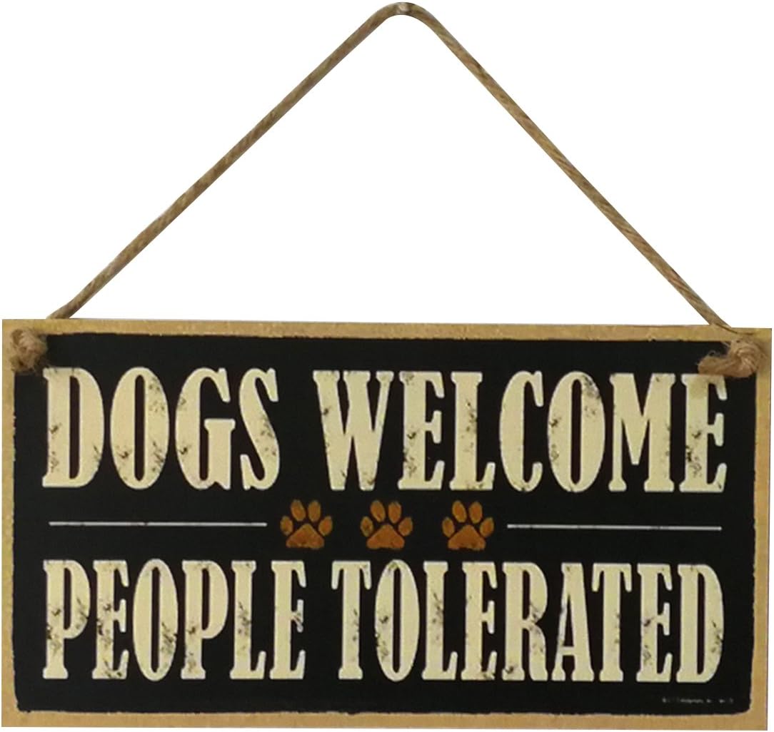 gioco laser tag per la casa