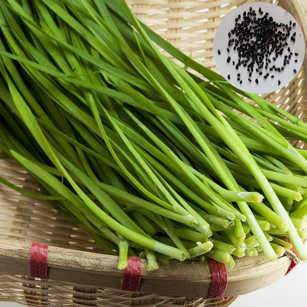 cestino per il compost da giardino