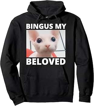 Bingus Is Calling My Beloved Hairless Sphinx Sphynx Cat Meme