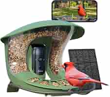 Mangeoire Oiseaux Connectée Birdfy 2 Pro - Caméras 2K, Détection Temps Réel | Pour Jardin