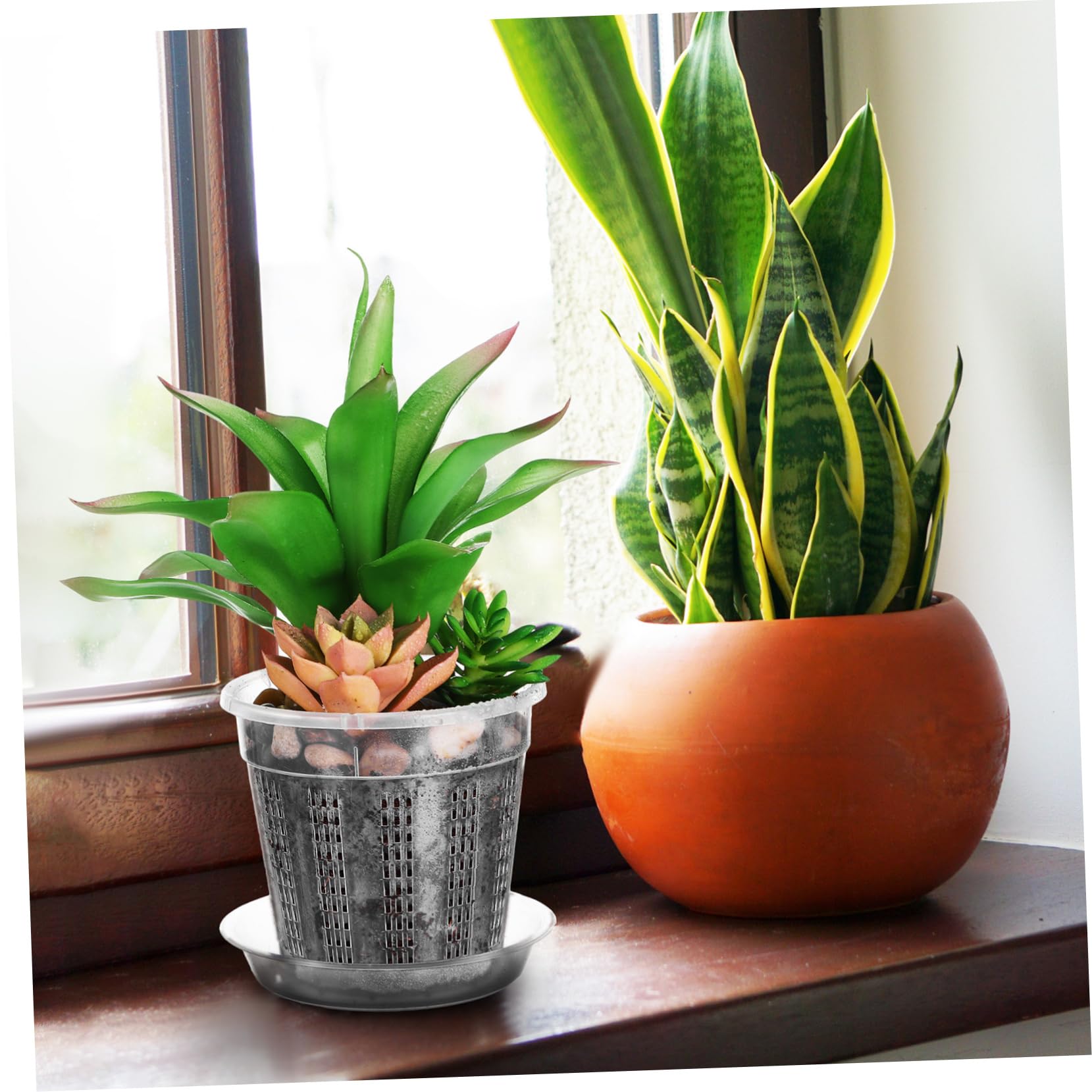 Happyyami 2 Ensembles Lot Pots Orchidées Plastique Transparent avec Drainage Et Saucers Pots Fleurs Ventilés Creux Convient Intérieur Extérieur pour Fraisiers Et Plantes Variées 8 Pièces * 2