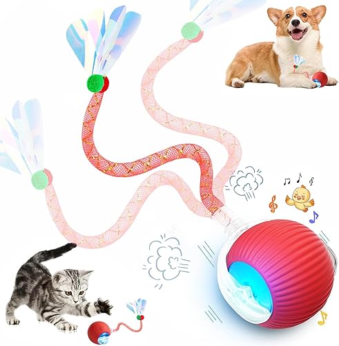 Miniatura 9 de Speed 2.0 Tail - Juguetes interactivos para gatos de interior, juguete para gatos que gorjea y activa el movimiento, juguete inteligente de pelota