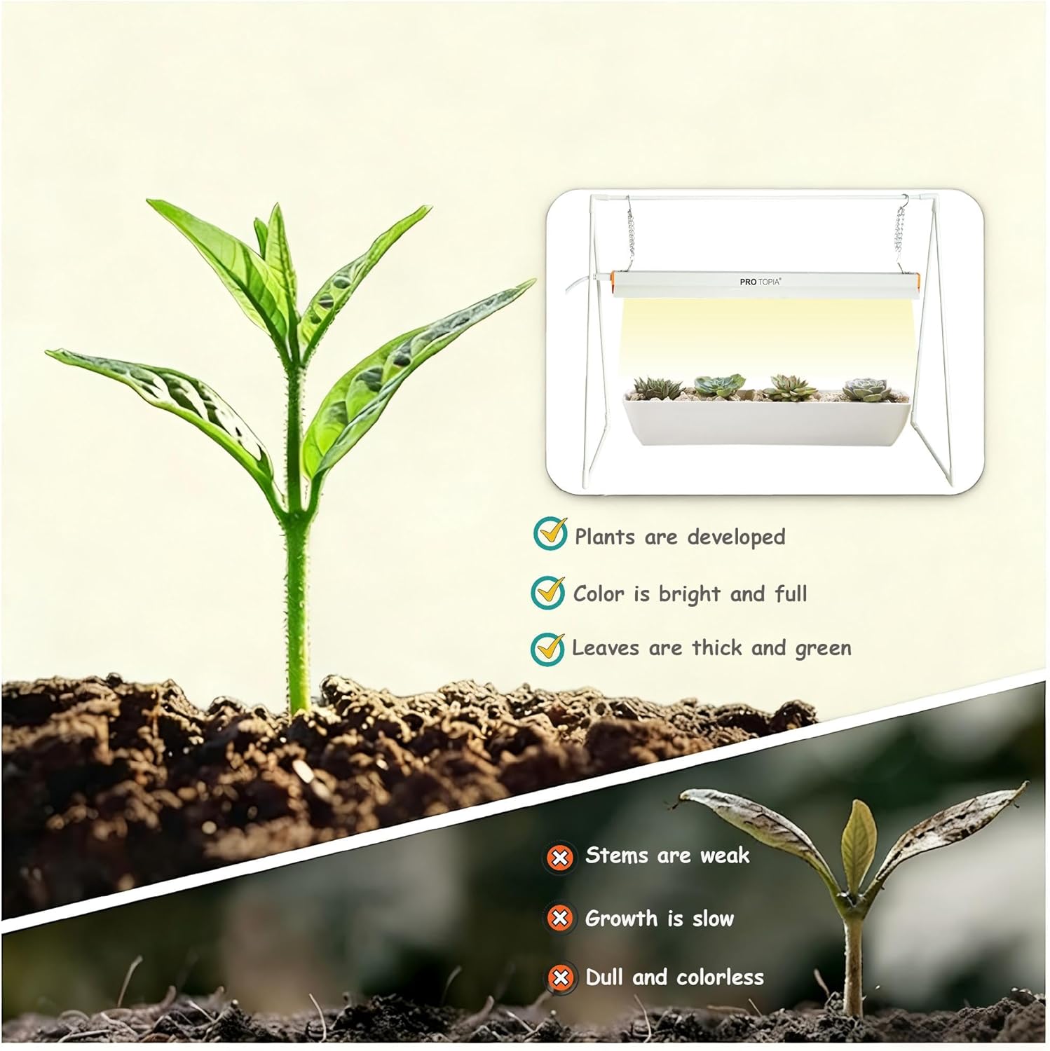 10W Grow Light Stand Kit for Indoor Plants, 2ft Plant Grow Rack with Full Spectrum, Enhanced Red Light for Flowering, Height Adjustable Iron Bracket, on and Off Switch