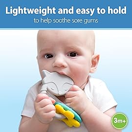 Dr. Brown\'s Learning Loop Silicone Ring Teether, Fox - 3m+