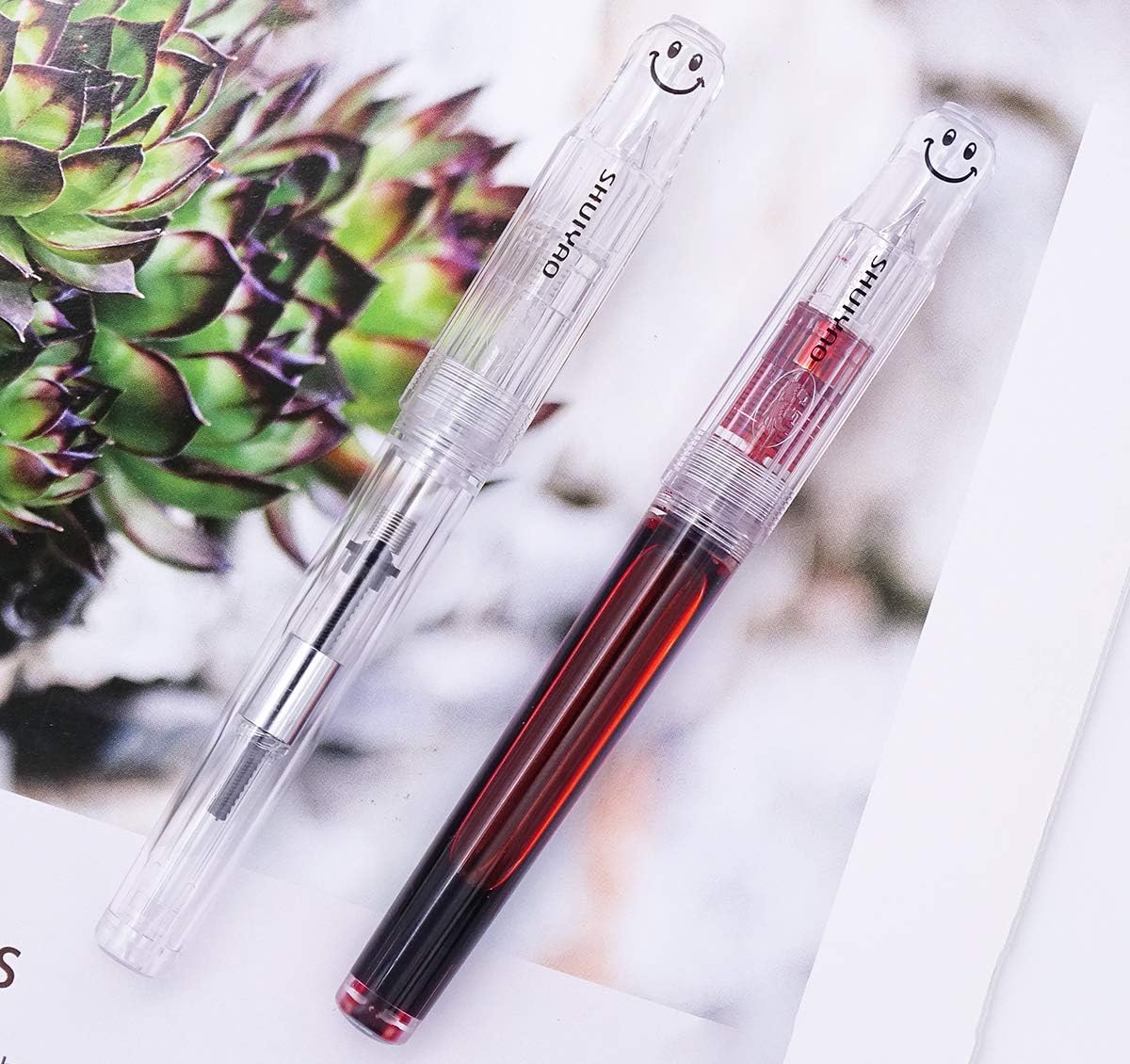 2 PCS Transparent Clear Eyedropper Demonstrator Fountain Pen, SHUIYAO Smile Extra Fine and Fine Nib Converter Gift Pen Set