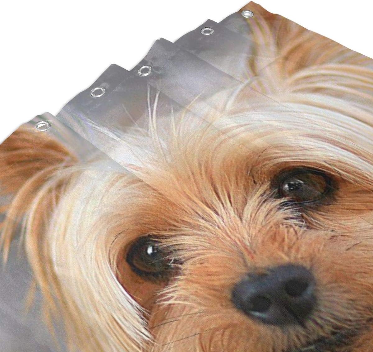 Cutest Yorkies Shower Curtain Waterproof Fabric Machine Washable Bathroom Polyester Lining Without PVC Shower, Bathtub 60'' 72''