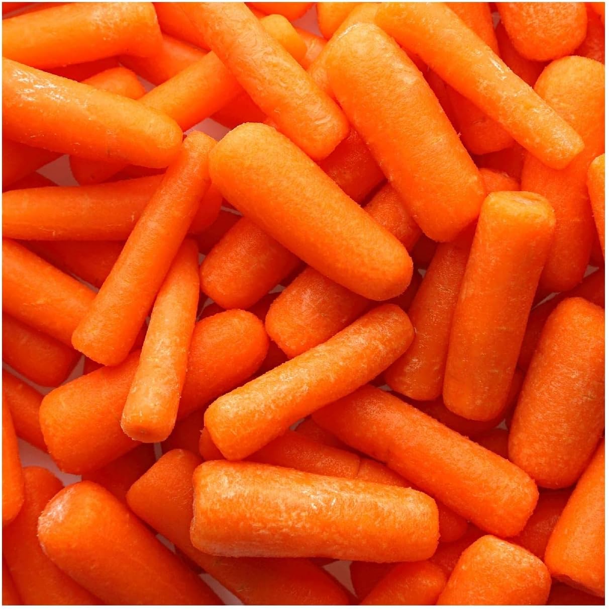 Everwilde Farms - 1/4 Lb Organic Little Finger Carrot Seeds - Gold Vault