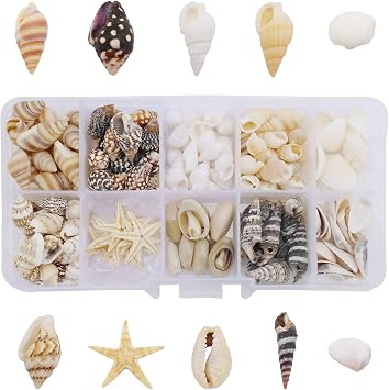 1 Box 200PCS Sea Shell Starfish Conch Tiny Seashells Cowries for Ocean Beach Theme Wedding Party Decorations Resin Jewelry Candle Making DIY Crafts Fish Tank Vase Filler