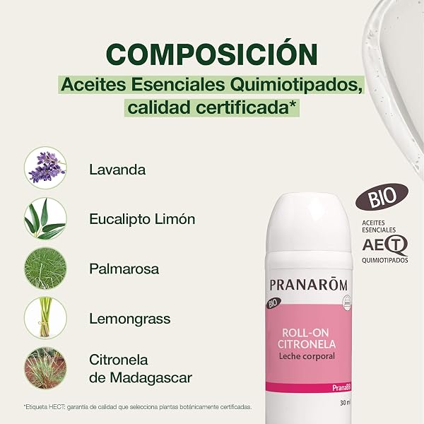 PRANARÔM PranaBB Roll-On Antimosquitos BIO – Protección 7 Horas – Repelente Natural con Aceites Esenciales Orgánicos – Uso Familiar – 30 ml - 4