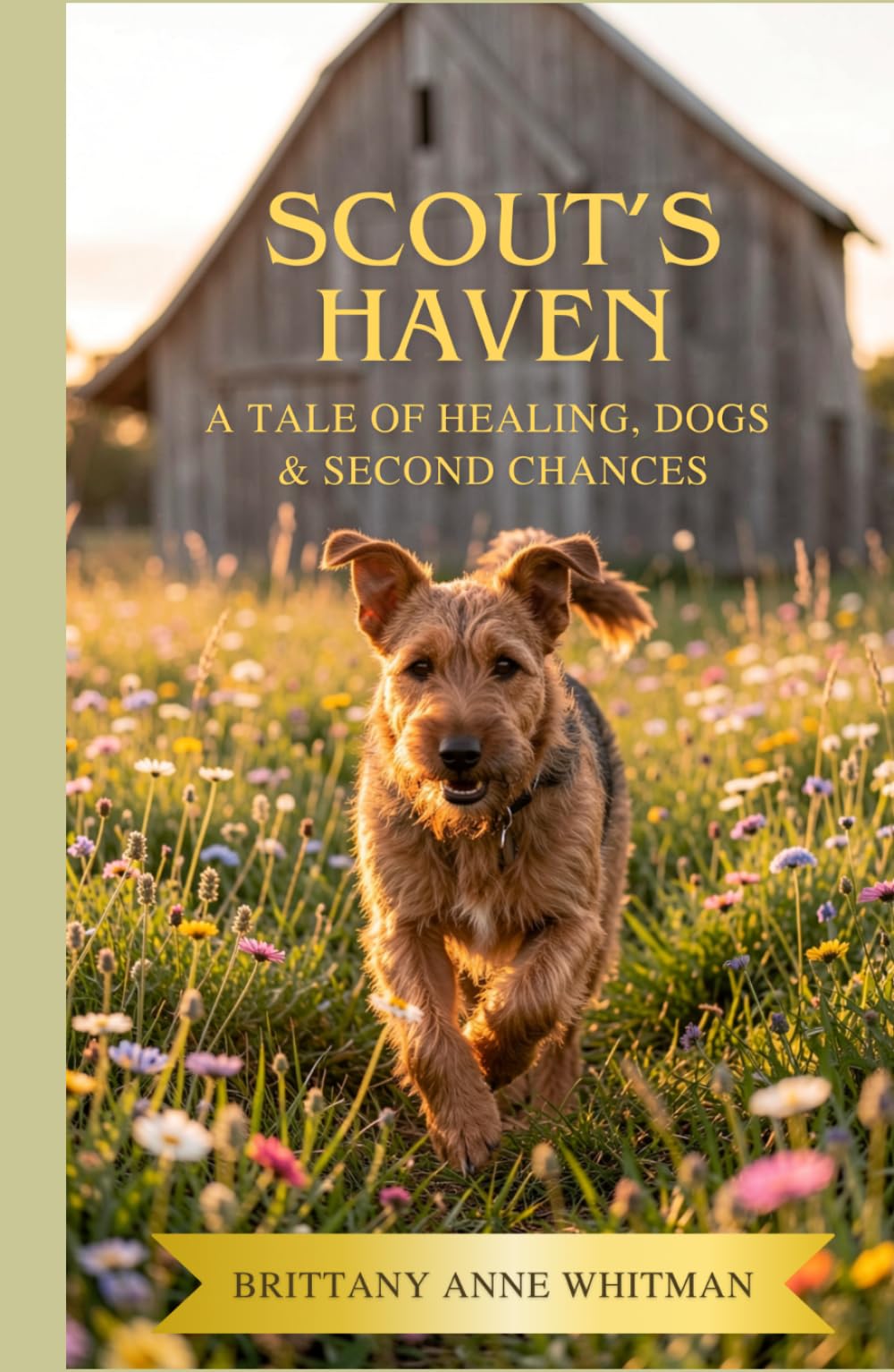 Scout's Haven: A Tale of Healing, Dogs & Second Chances