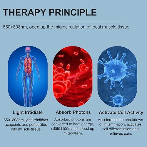 Miniatura 6 de LASEPREHT Dispositivo de terapia de luz roja de mano, dispositivo portátil del alivio del dolor, instrumento infrarrojo de la terapia de 650nm 808nm