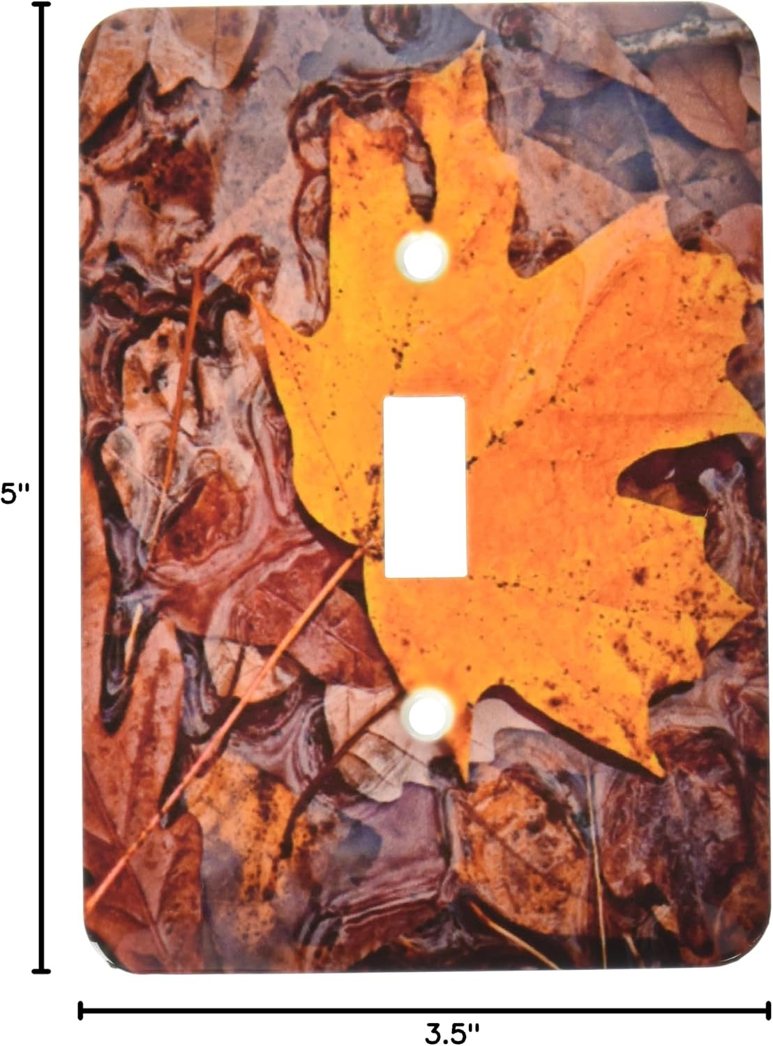 3dRose Lsp_12681_1 Autumn Leaf Single Toggle Switch