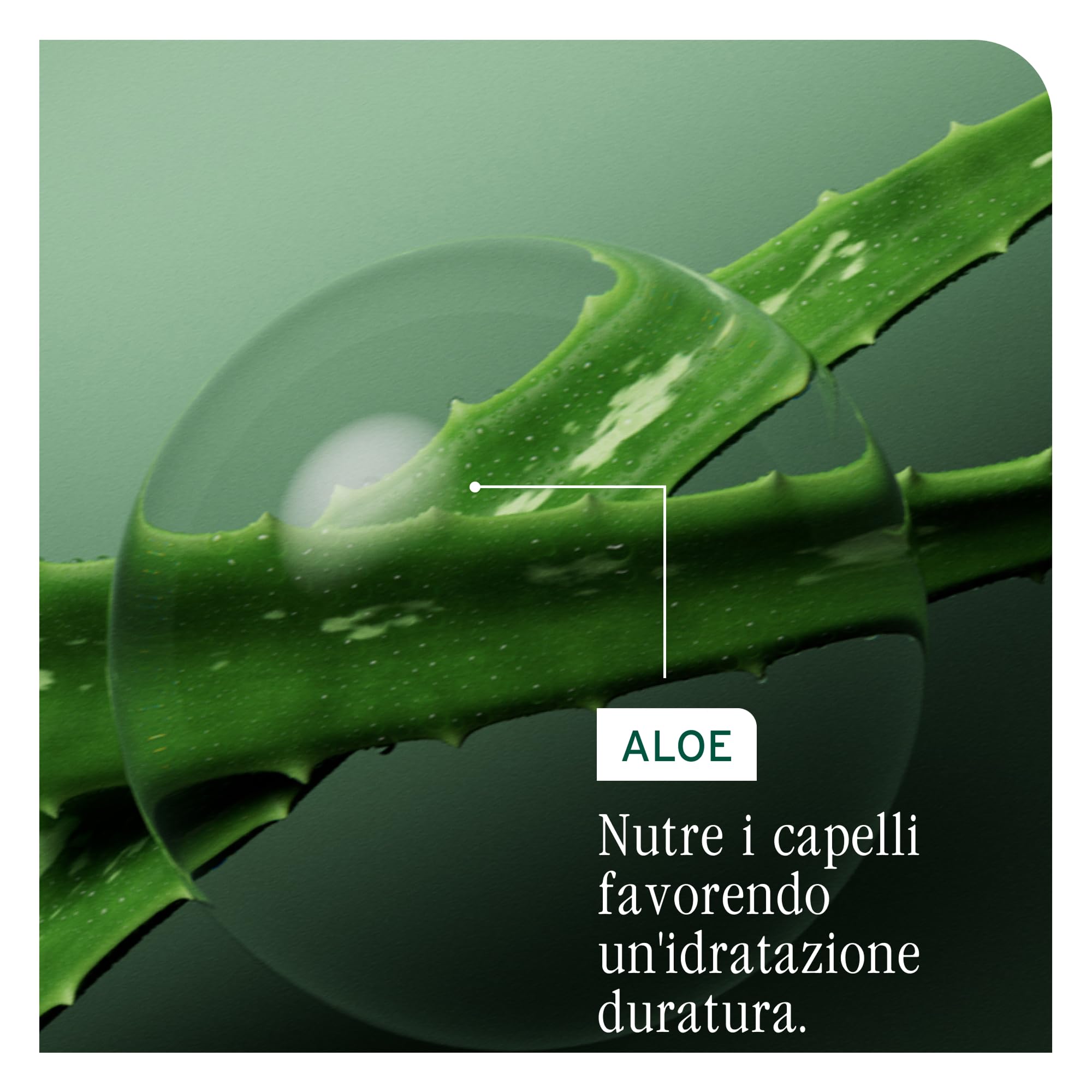 Biolage, Kit Shampoo + Balsamo Nutriente per Capelli Secchi e Danneggiati, Azione Idratante e Illuminante, Arricchito con Aloe Vera e Acido Ialuronico, Hydrasource, 400 ml + 236 ml