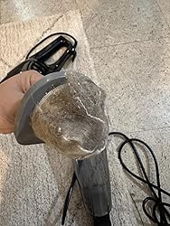 Best for cats/dogs fur on carpet and couches