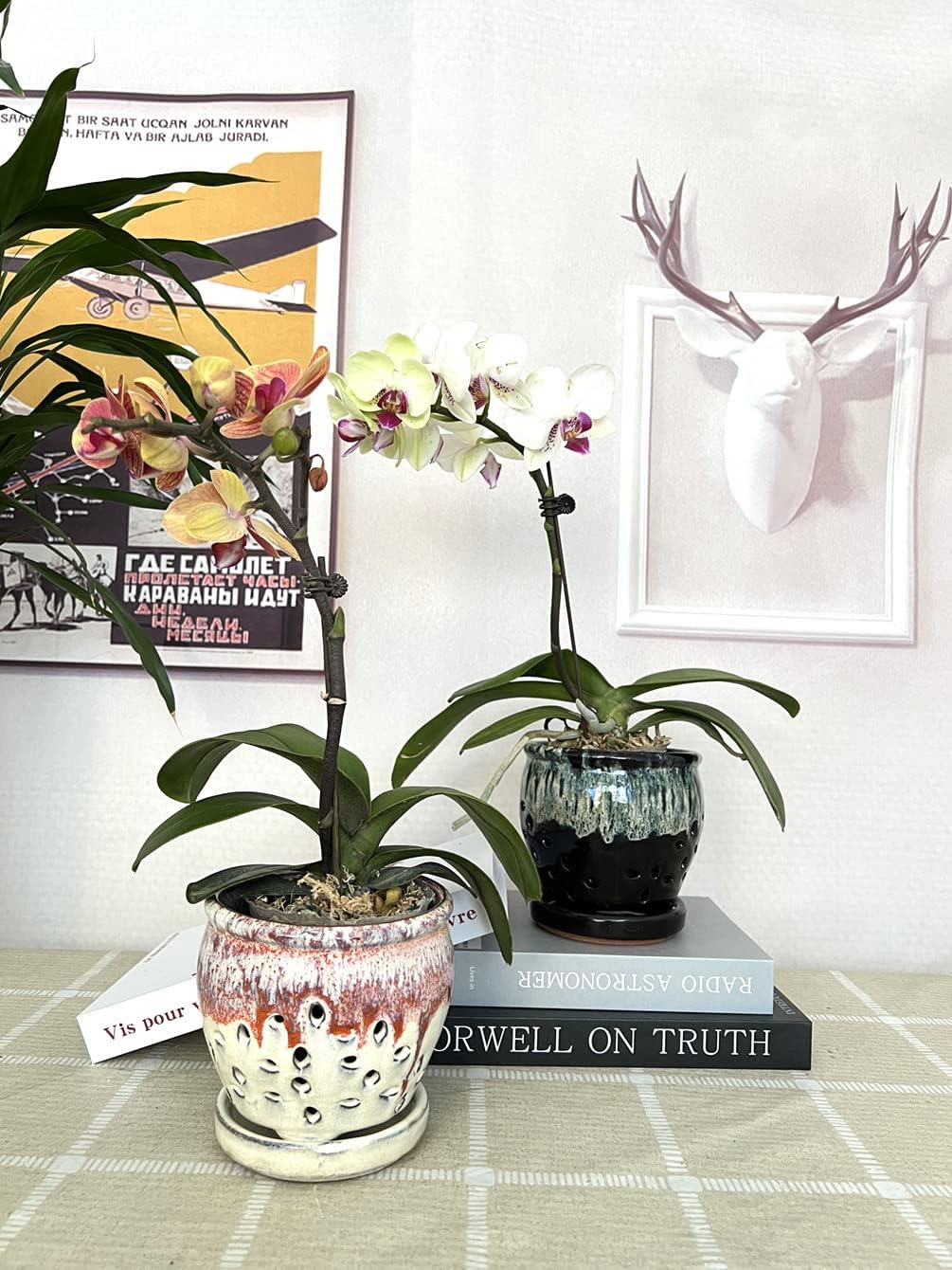 2PCS Small Ceramic Orchid Planter Pots with Holes 4.33inch Ceramic Planters for Orchid Repotting(Black&White)