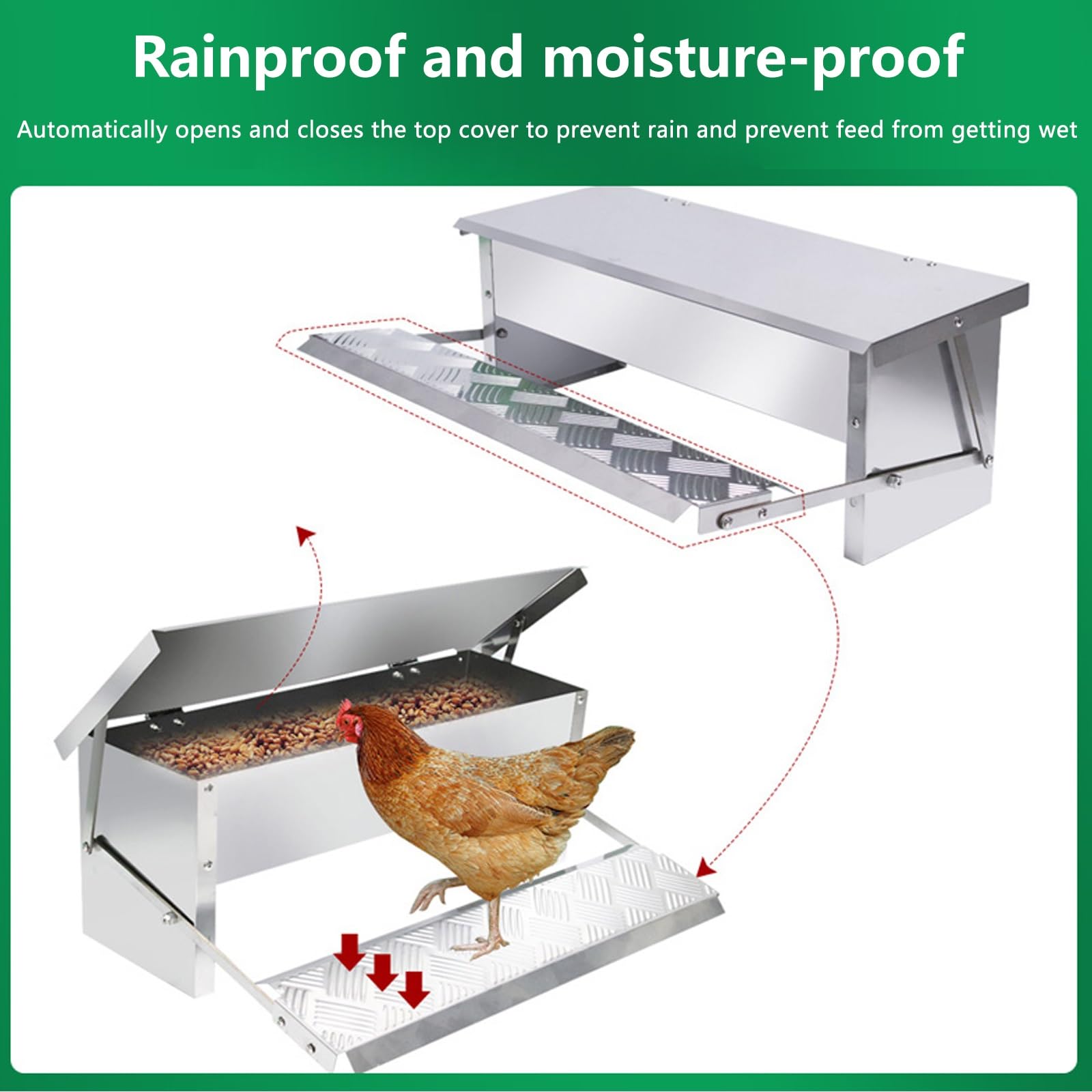 Mangiatoia Galline Automatica Acciaio Inossidabile Mangiatoia per Galline Antispreco Grande capacità Impedisce L'ingresso di Topi Serpenti E Roditori Facile da Montare