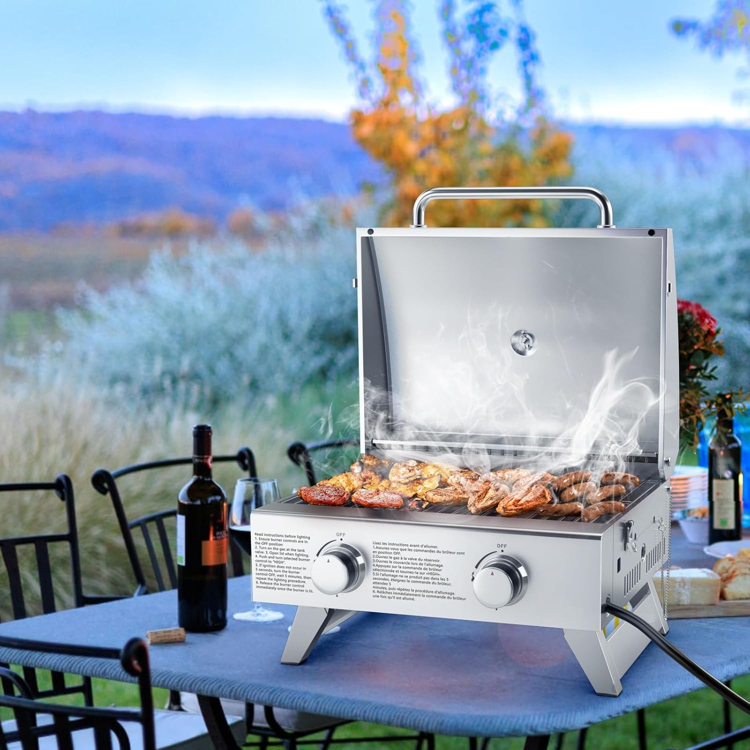 Giantex Portable Gas Grill with 2 Burner, Max. 20,000 BTU total, Folding Legs, Built-in Thermometer, Travel Locks, Stainless Steel Tabletop Propane Gas Grill for Camping Picnic Cookout RV BBQ