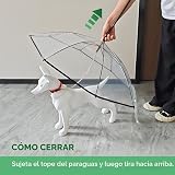Ver la foto 8