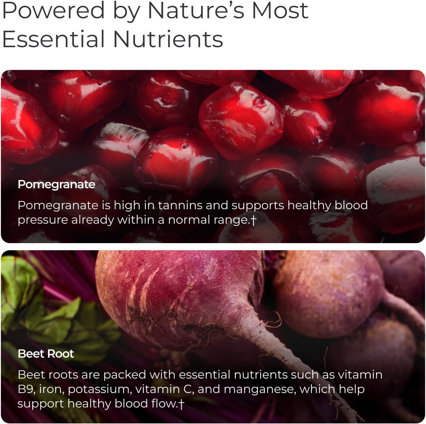 Livingood Daily Blood Pressure Support, Heart Health Supplement for Men & Women with Beet Root, Pomegranate, Hawthorn, Magnesium & Taurine, Cardiovascular Support Formula, Vegan, 120 Capsules - Image 3