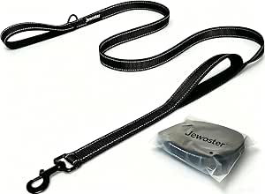 Heavy Duty Dog Leash - 6ft with Dual Handles and Reflective Threading for Medium to Large Dogs
