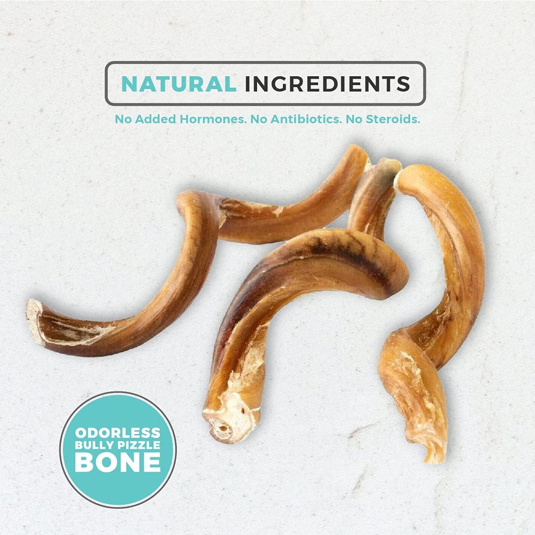 Dog Nip! 4-5" Bully Stick Springs - All Natural Bully Pizzle Bone - Grass Fed Beef - Curly Spiral Bully Sticks - Long Lasting Dog Chew Dental Treats
