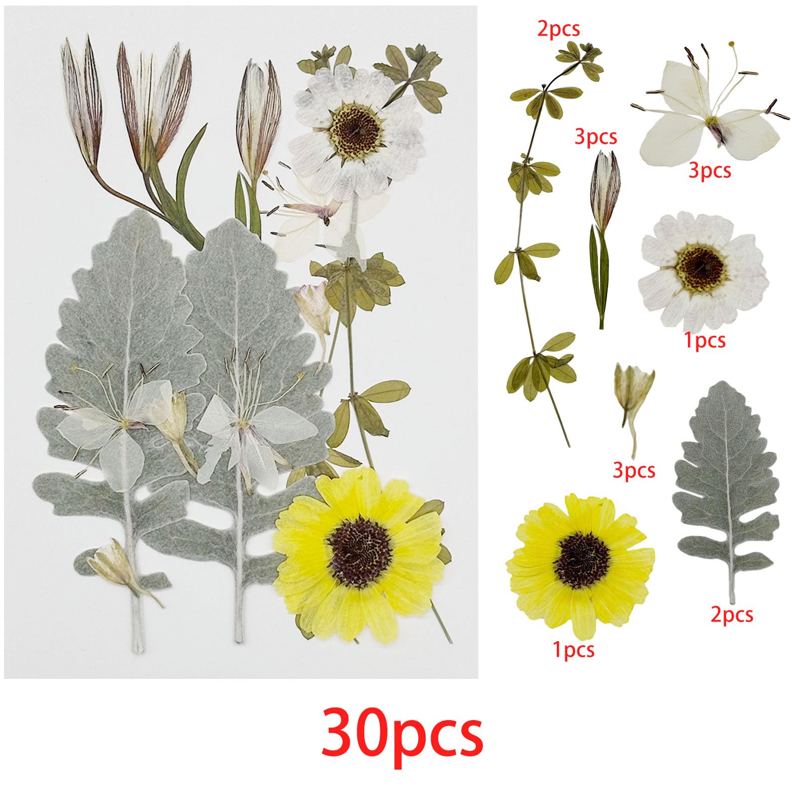 Cayway 4 Pack Pressed Flowers Natural Dried Flowers Colorful Resin Flowers Real Pressed Flowers for Resin Scrapbook DIY Art Crafts Epoxy Resin Jewelry - Image 3