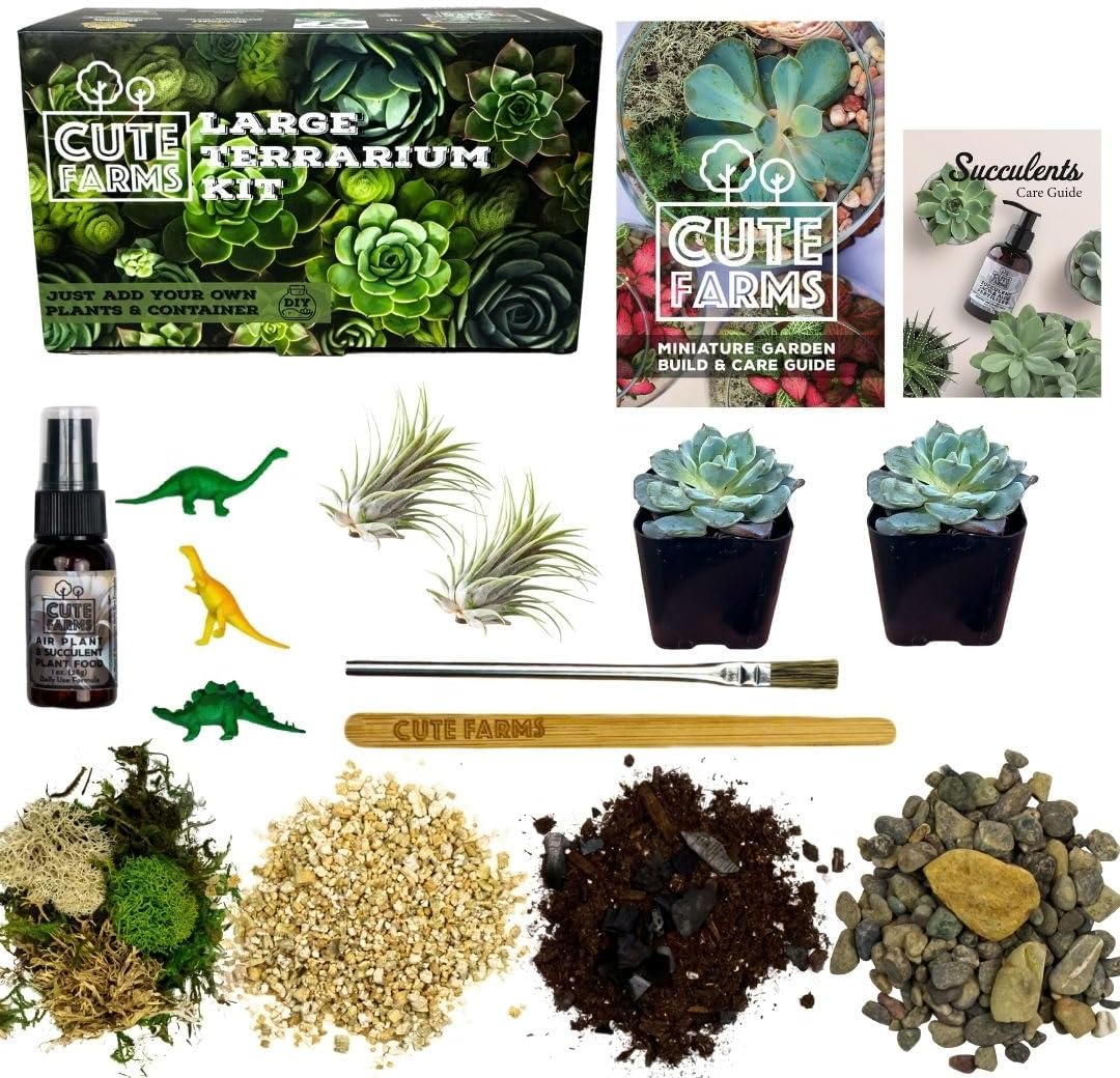 Cute Farms Terrarium Starter Kit | Moss, Vermiculite, Soil, Pebbles, Plant Food, Finishing Tools, Build and Care Guide | DIY Succulent Terrarium for Adults and Kids (Large)