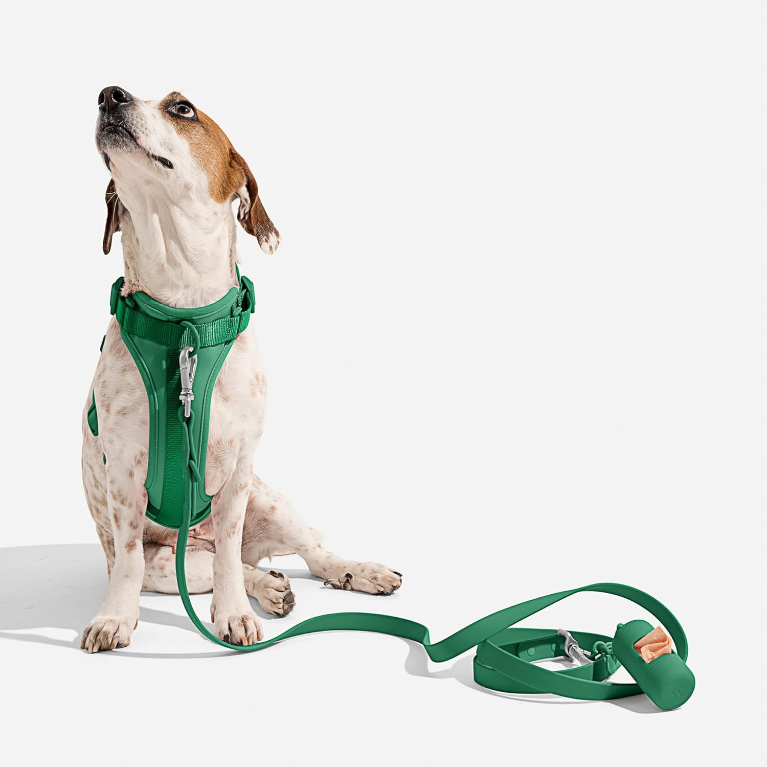Wild One Harness 2.0 - Medium - Spruce, Green