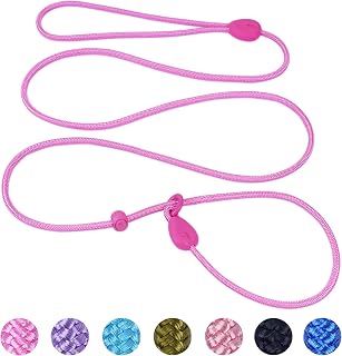 6FT Dog Training Leash Slip Lead