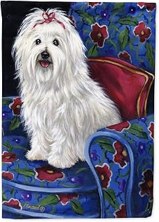 Caroline's Treasures PPP3079CHF Coton De Tulear Royalty House Flag Large Porch Sleeve Pole Decorative Outside Yard Banner Artwork Wall Hanging, Polyester, House Size, Multicolor