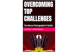 Overcoming Top Challenges in Macro Free Kindle Photography