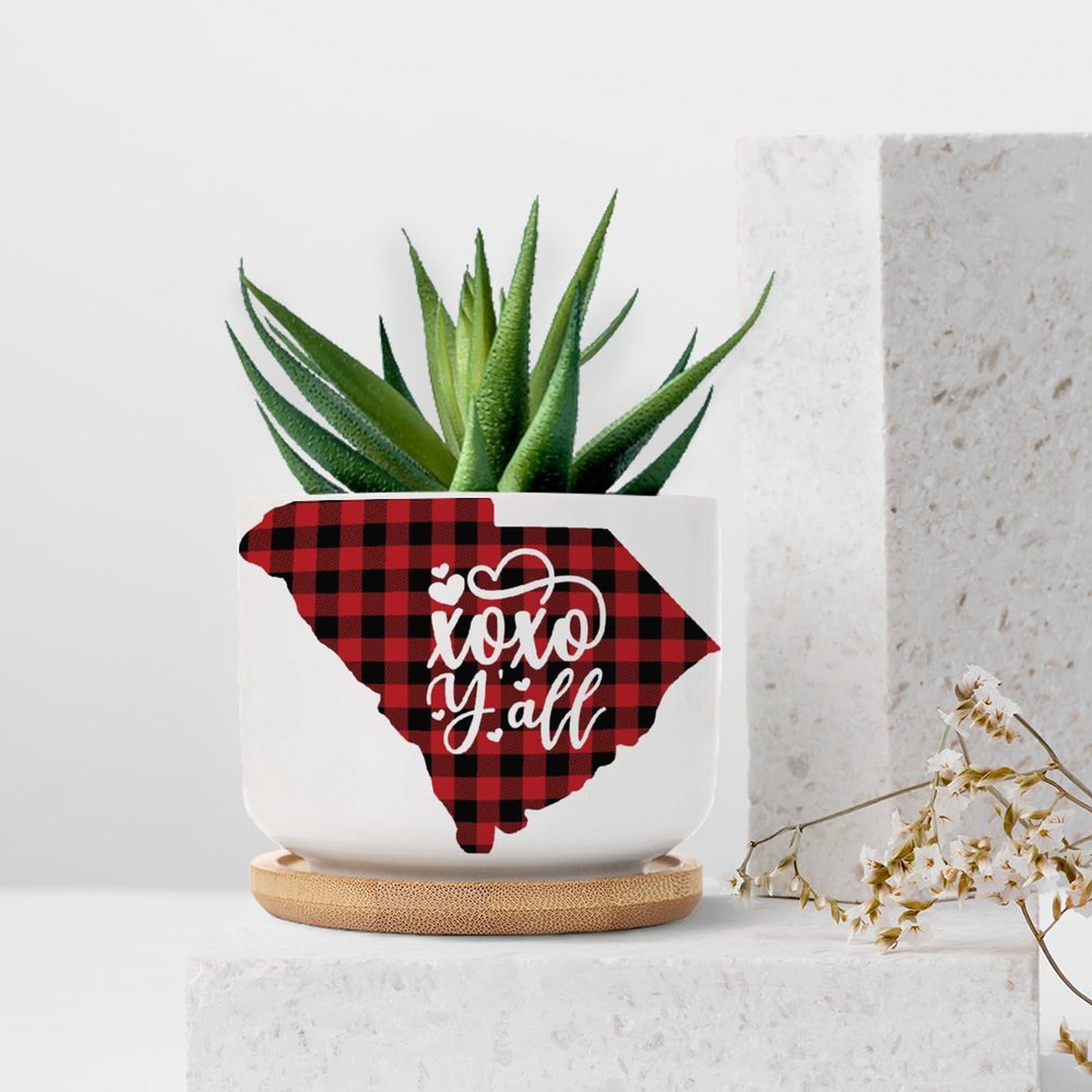 DecStic South Carolina XOXO Y'all Ceramic Planters Friendship Country Planters for Indoor Plants with Drainage Holes and Saucers Pot for Outdoor