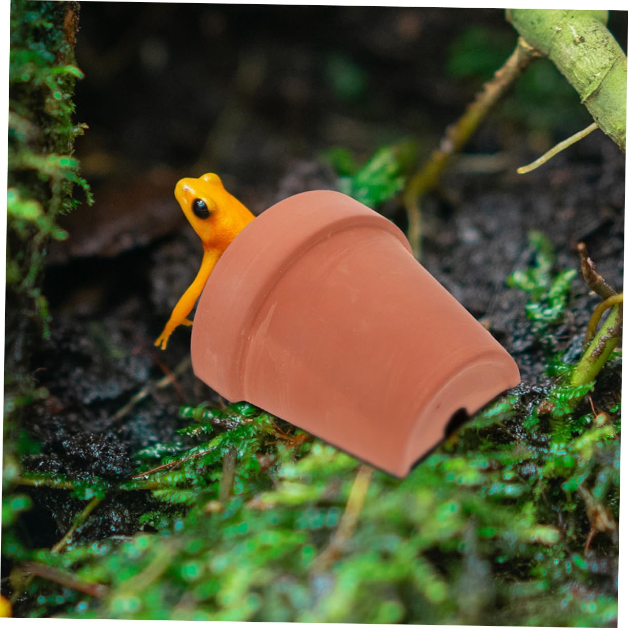 SUPVOX 2sets Tortoise Basking Platform Reptile Shelter Pottery Clay Material Safe Hideout for Small Reptiles 2pcs*2