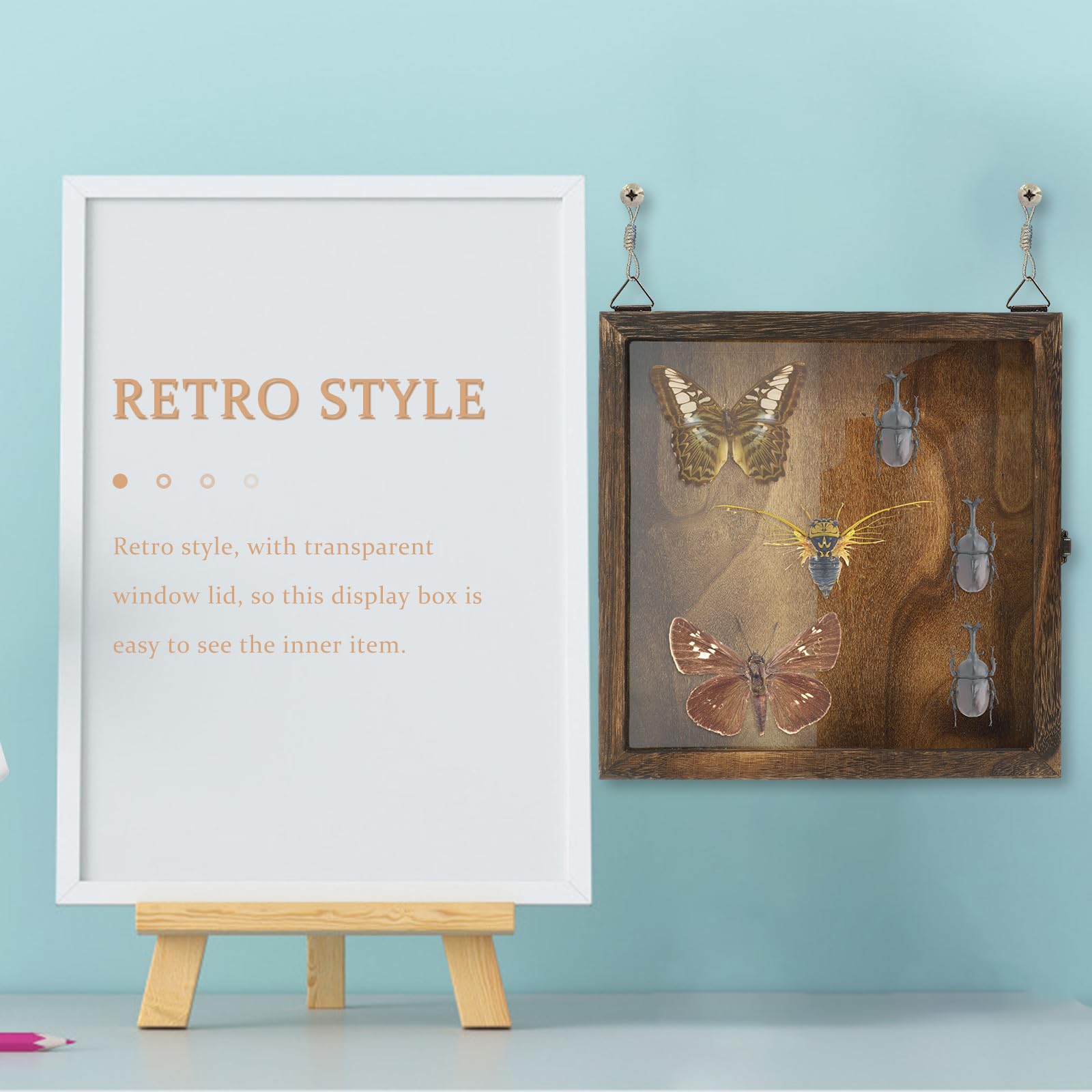 Sewroro Vitrina de Especímenes Antiguos de Madera Ventana Acrílica Retro