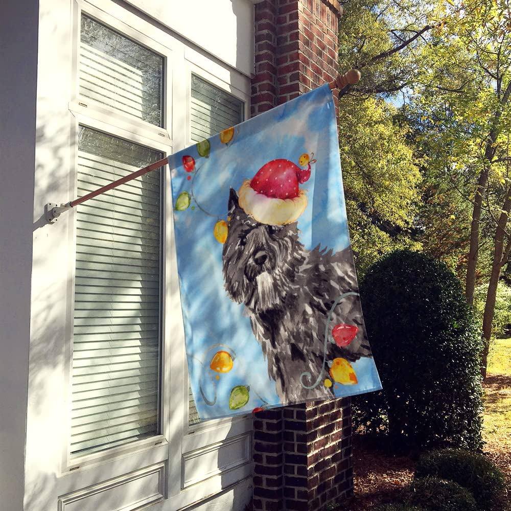 Caroline's Treasures CK2470CHF Christmas Lights Bouvier des Flandres House Flag Large Porch Sleeve Pole Decorative Outside Yard Banner Artwork Wall Hanging, Polyester, House Size, Multicolor
