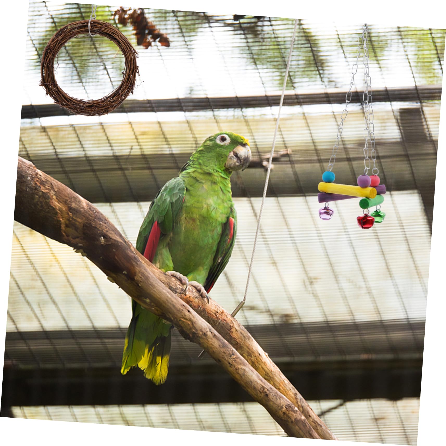 COLLBATH Vogelkäfig Spielzeug Hängendes Glocken Schnabel Spielzeug 5 Stück für Papageien und Vögel Fördert Intelligenz