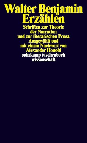 Erzählen: Schriften zur Theorie der Narration und zur literarischen Prosa: 1841