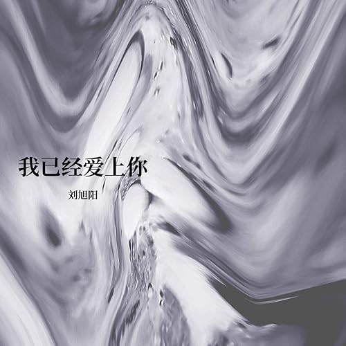 我已经爱上你 (DJ咚鼓承利Remix)