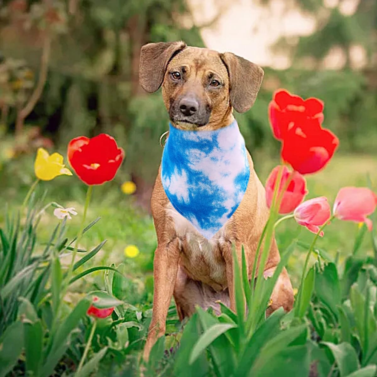 50PCS Dog Bandanas Tie Dye Bulk for Large Breed Dog Kerchief Washable Triangle Bibs Head Scarves Scarfs Selvedge Sewing Stitching Edge Hemming Stitch Seam for Grooming Accessories Costume