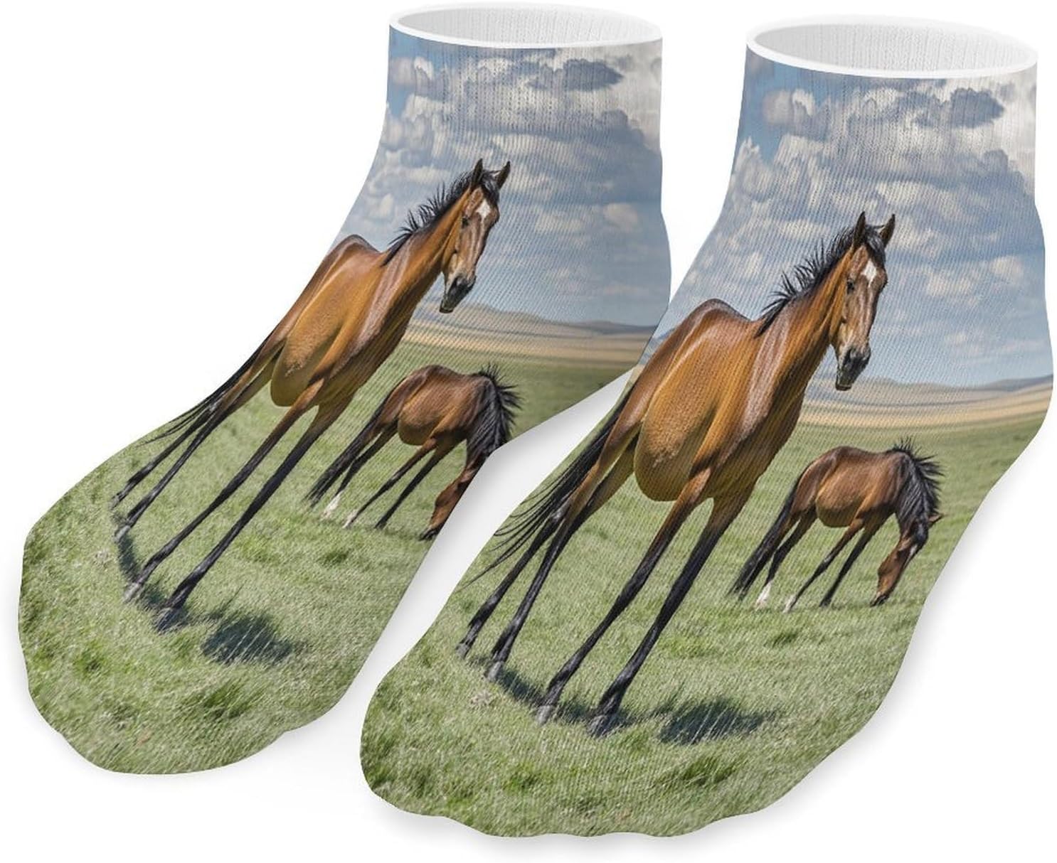 Grazing Wild Horses Ankle Socks for Men Women 5 Pairs