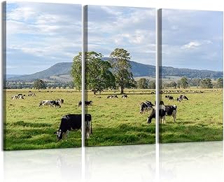 3 Piece Canvas Wall Art Prints Picture Dairy cattle herd New South Wales Australia Framed Wall Painting Modern Artwork Poster Home Decor for Living Room Office Ready to Hang